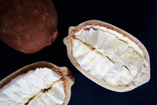 Ingredient Spotlight: Benefits Of Super Hydrator Cupuaçu Butter