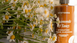 Chamomile Cream Cleanser with chamomile flowers