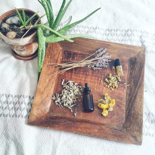 Healing Herbs To Grow