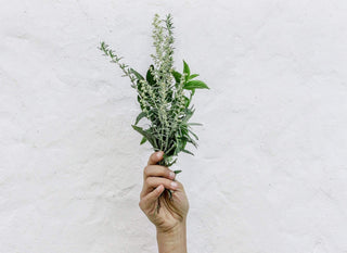 Wellness Ingredients to Question if Being Sustainable is Important to You