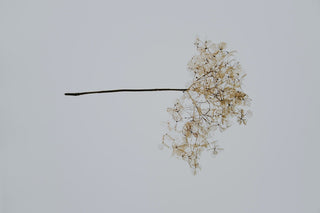 5 Skincare Ingredients That Aren’t as Sustainable as You Think