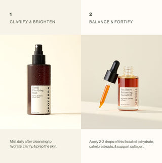 Clarifying Power Duo how to use graphic for clarifying, brightening and balancing skin