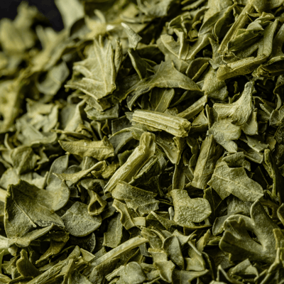 Green Tea Extract
