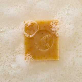 Pumpkin Wild Carrot Foaming Facial Cleanser