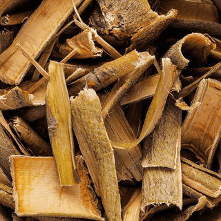 Close-up of dried willow bark pieces