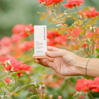 Apoterra Rose Nourishing Facial Oil held  in front of vibrant red, coral roses