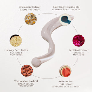 Apoterra Chamomile Tansy Cleanser diagram of skincare ingredients include blue tansy, chamomile, beet root extract, and watermelon seed fruit extract for skin barrier support and locking in moisture