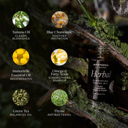 Herbal Clarifying Facial Oil features tamanu oil, blue chamomile, immortelle oil, and green tea for skin barrier support, soothing irritation, and clearing blemishes