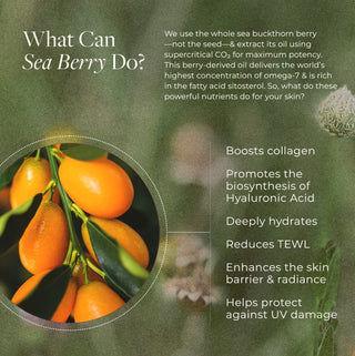 Apoterra's Holy Grail Duo boosts collagen, deeply hydrates, enhances skin barrier & skin radiance while helping to protect against uv damage