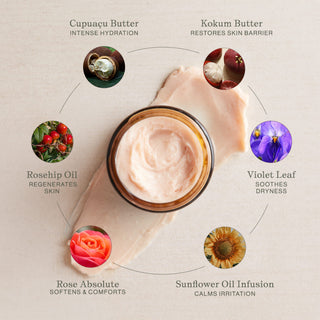 Rose & Violet Leaf Body Butter by Apoterra with Cupuacu, Shea & Kokum body butters for improved hydration, barrier support, regeneration, soothing irritation