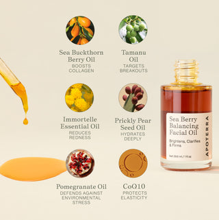 Apoterra Sea Berry Balancing Facial Oil ingredient benefits listing for boosting collagen, targets breakouts, reducing redness, and protecting elasticity