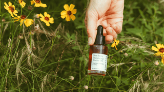 A woman holding a bottle of Apoterra Sea Berry Balancing Facial Oil in a field of yellow wildflowers